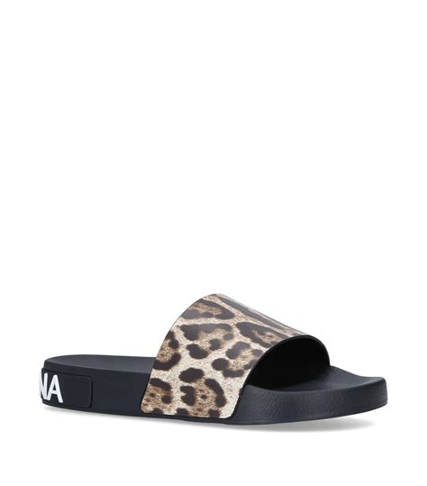 dolce gabbana slides leopard fabric
